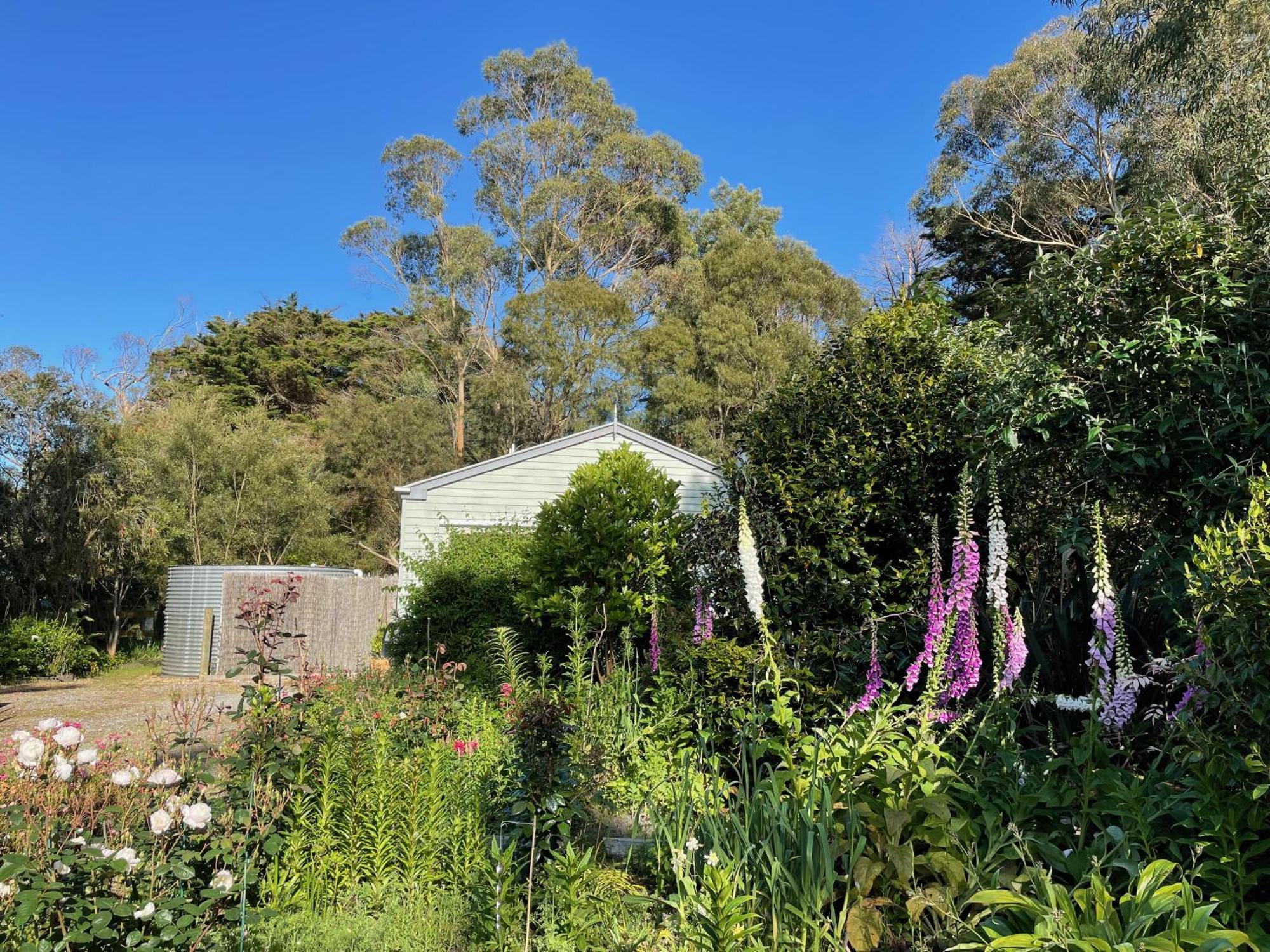 Tindoona Cottages Foster Exterior foto